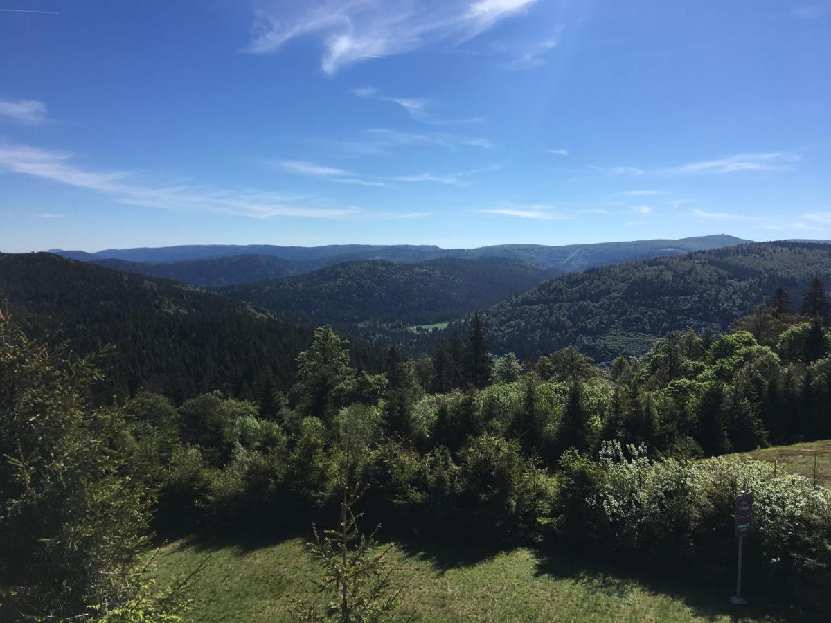 Le Belvosgien Apartment Gerardmer Bagian luar foto