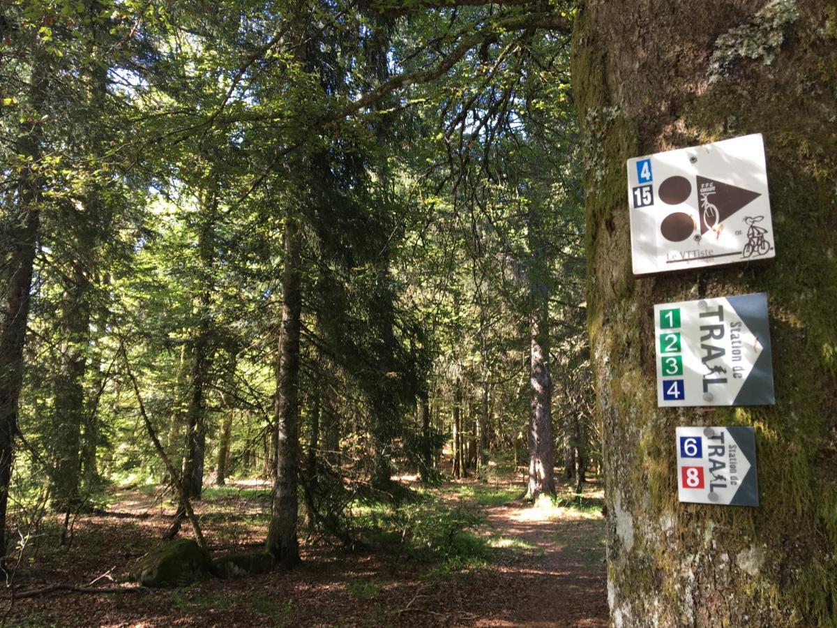 Le Belvosgien Apartment Gerardmer Bagian luar foto