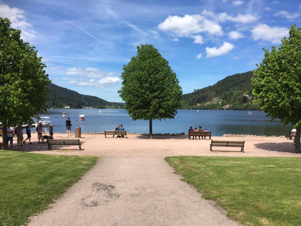Le Belvosgien Apartment Gerardmer Bagian luar foto